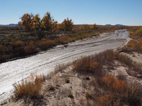 Puerco River