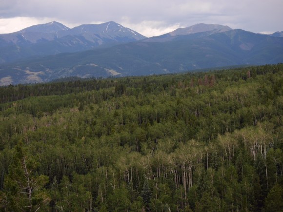 Mount Shavano and Tabeguache Peak